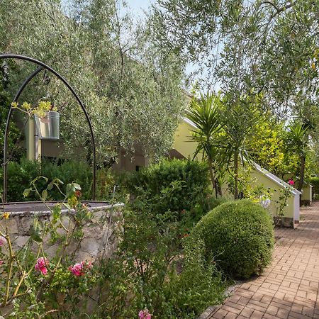 ויאסטה Residence Villa Le Macine מראה חיצוני תמונה
